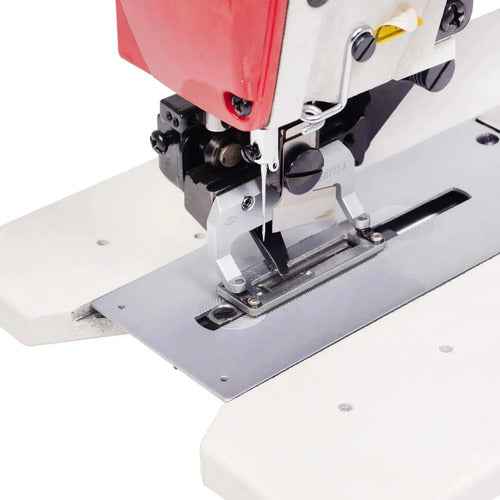 Caseadeira Industrial Automática Sun Special Silenciosa 220v Branco 220v